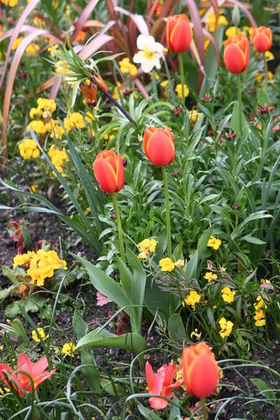 DSC_6923 (Large).JPG